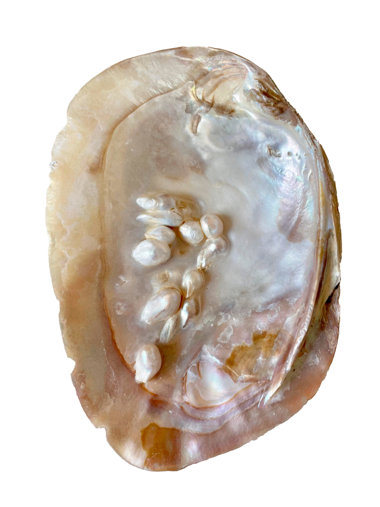 Perlas de agua dulce